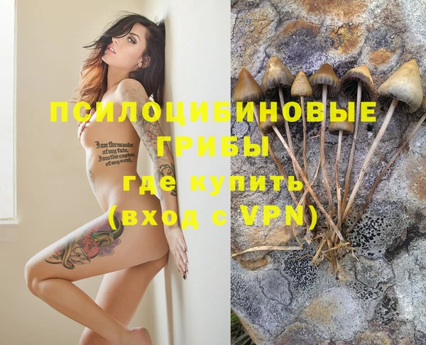 синтетический гашиш Алексин