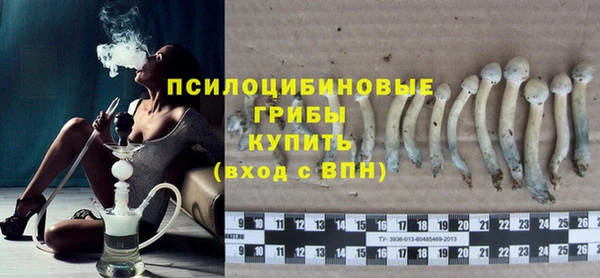 крисы Заводоуковск