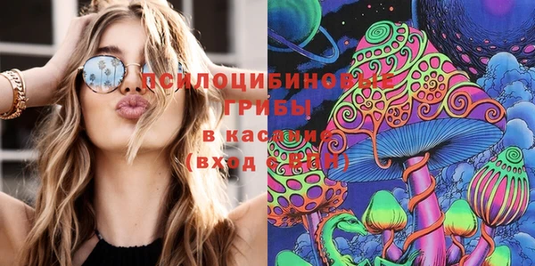 синтетический гашиш Алексин