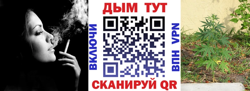 Марихуана THC 21%  blacksprut ссылки  Куровское 